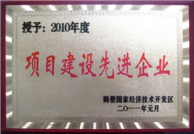 項(xiàng)目建設(shè)先進(jìn)企業(yè)